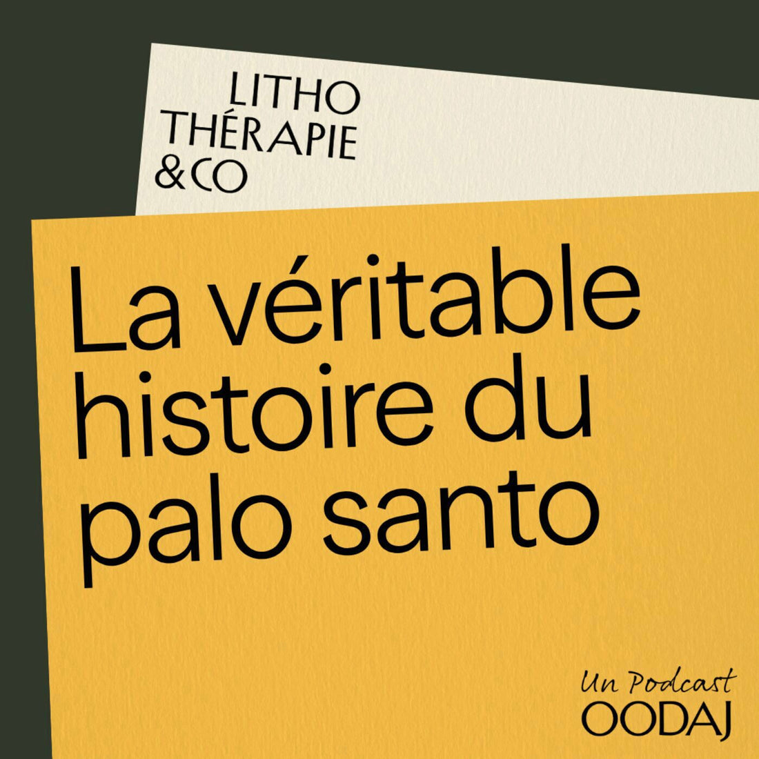 265 - La véritable histoire du palo santo