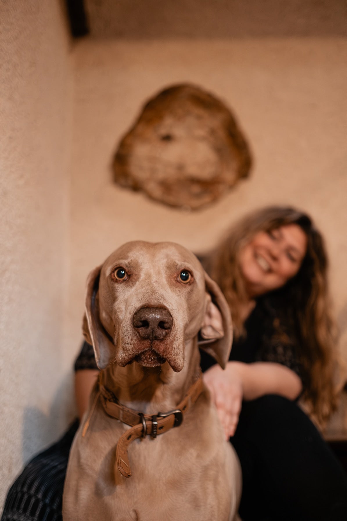 Comment utiliser les pierres avec nos animaux ?