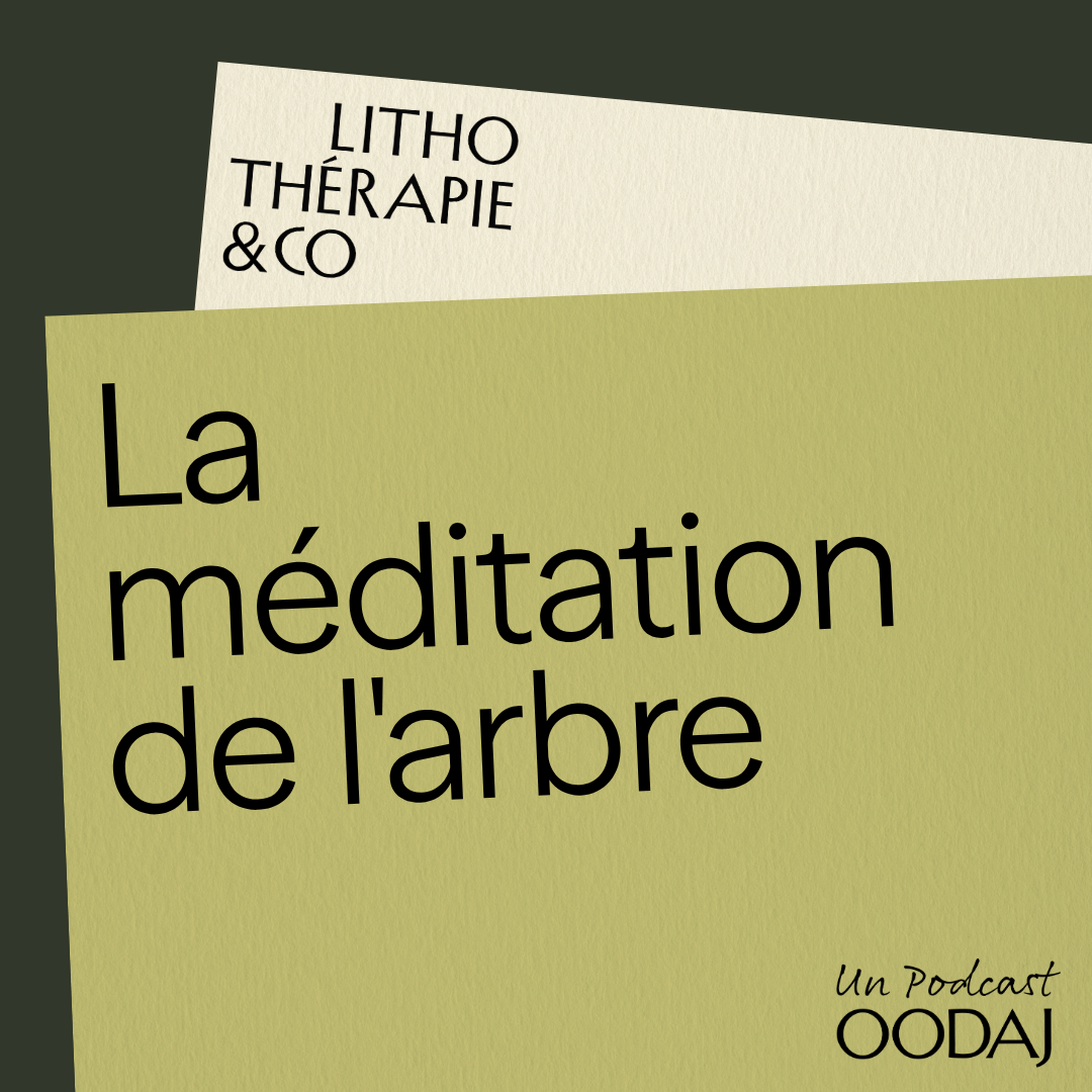 51 - La méditation de l'arbre