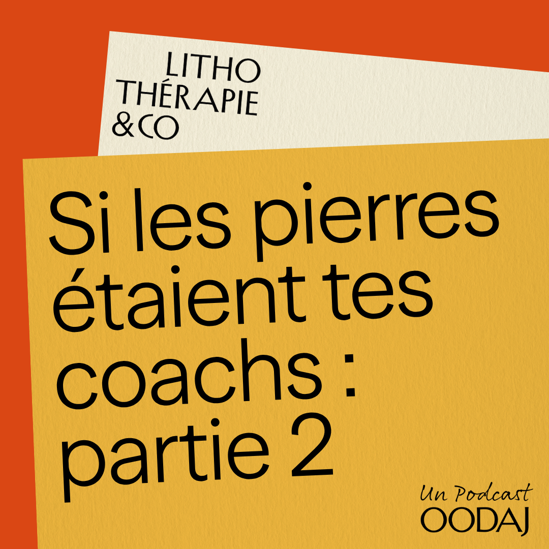 252 - Si les pierres étaient tes coachs : partie 2
