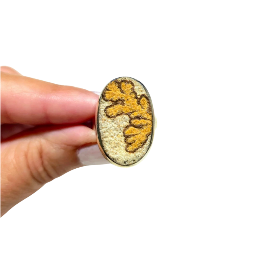 Bague en Fossile