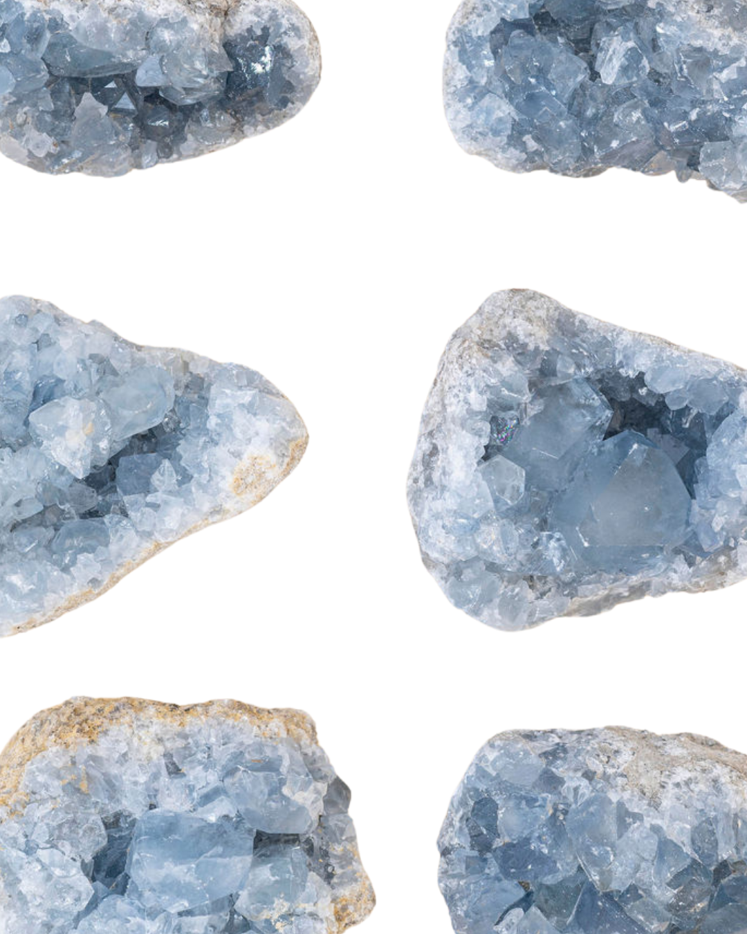 Célestines