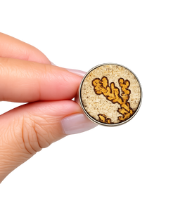 Bague en Fossile