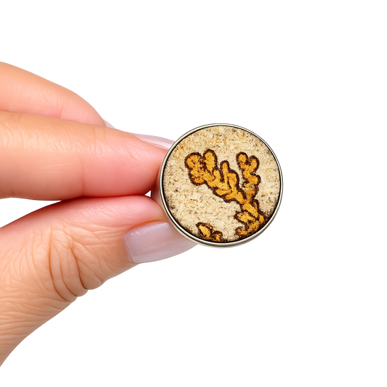 Bague en Fossile
