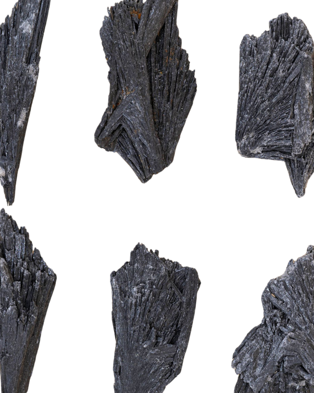Cyanites noire