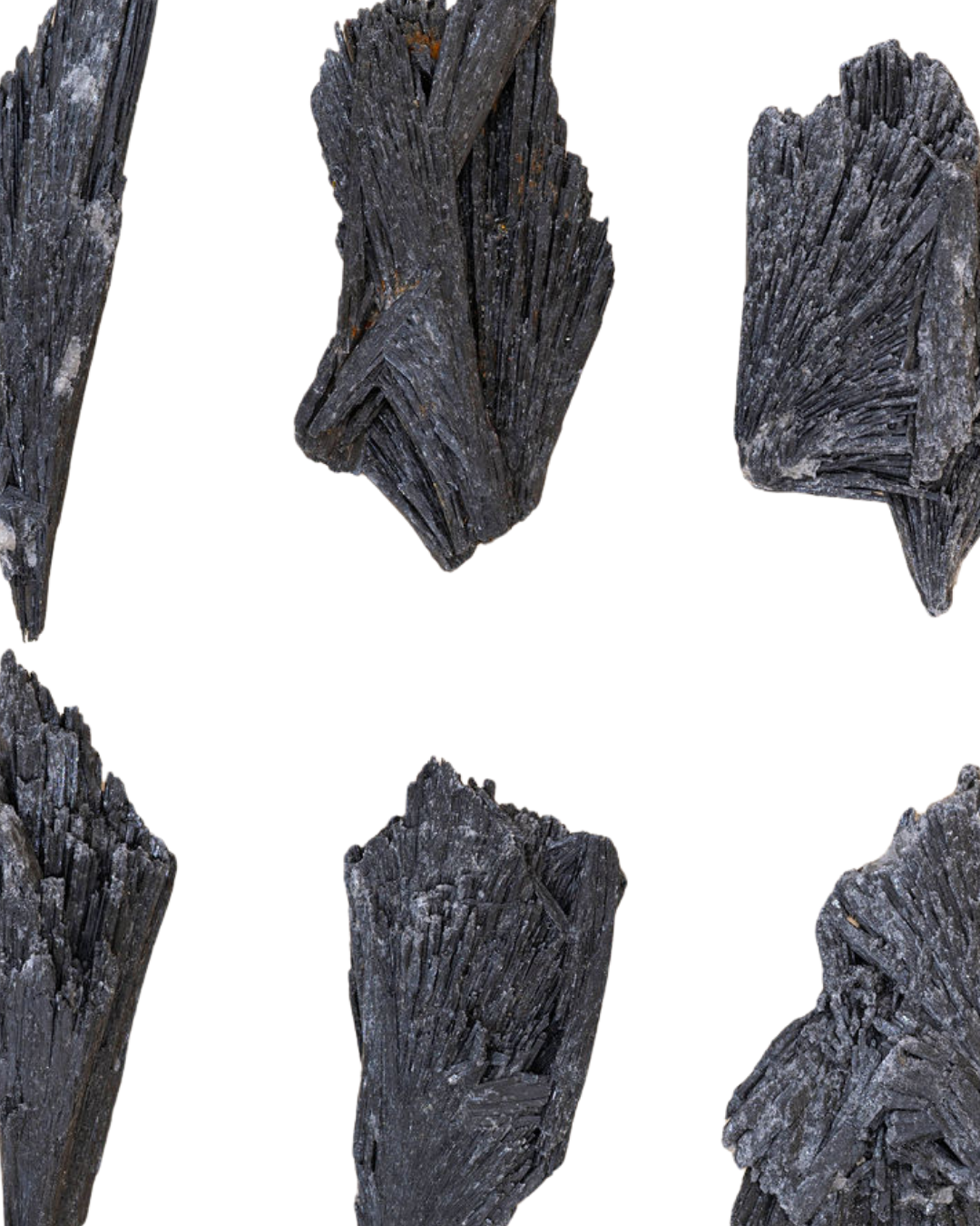 Cyanites noire