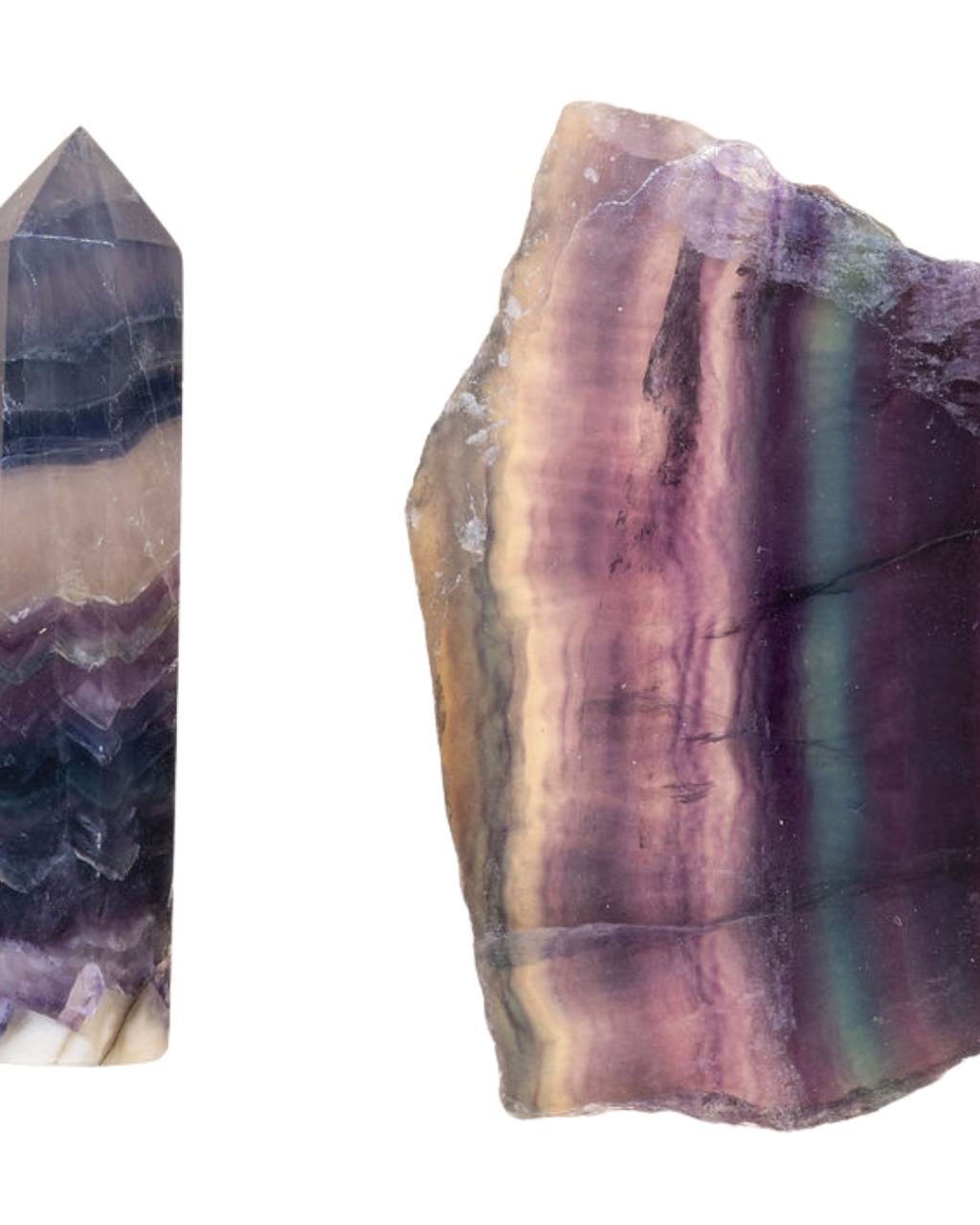 Fluorines bicolore