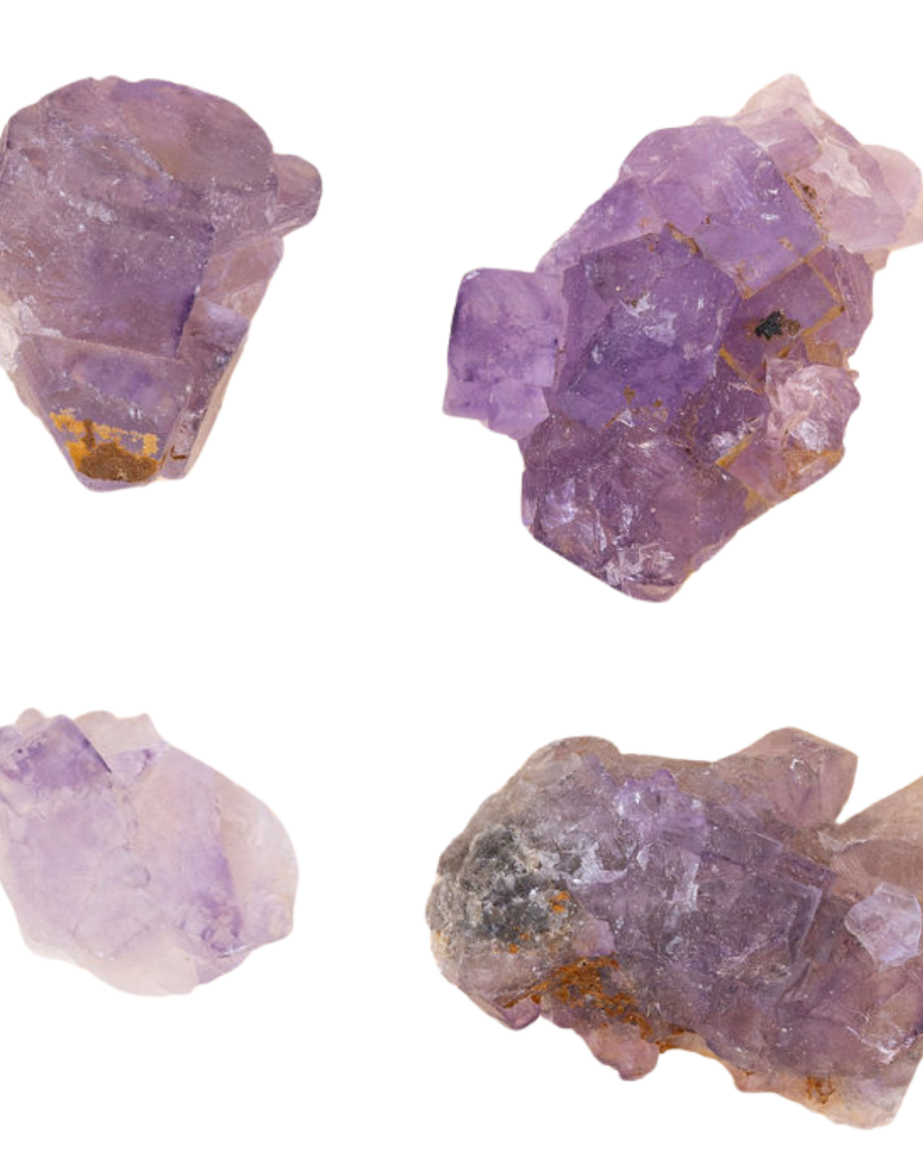Fluorines violette