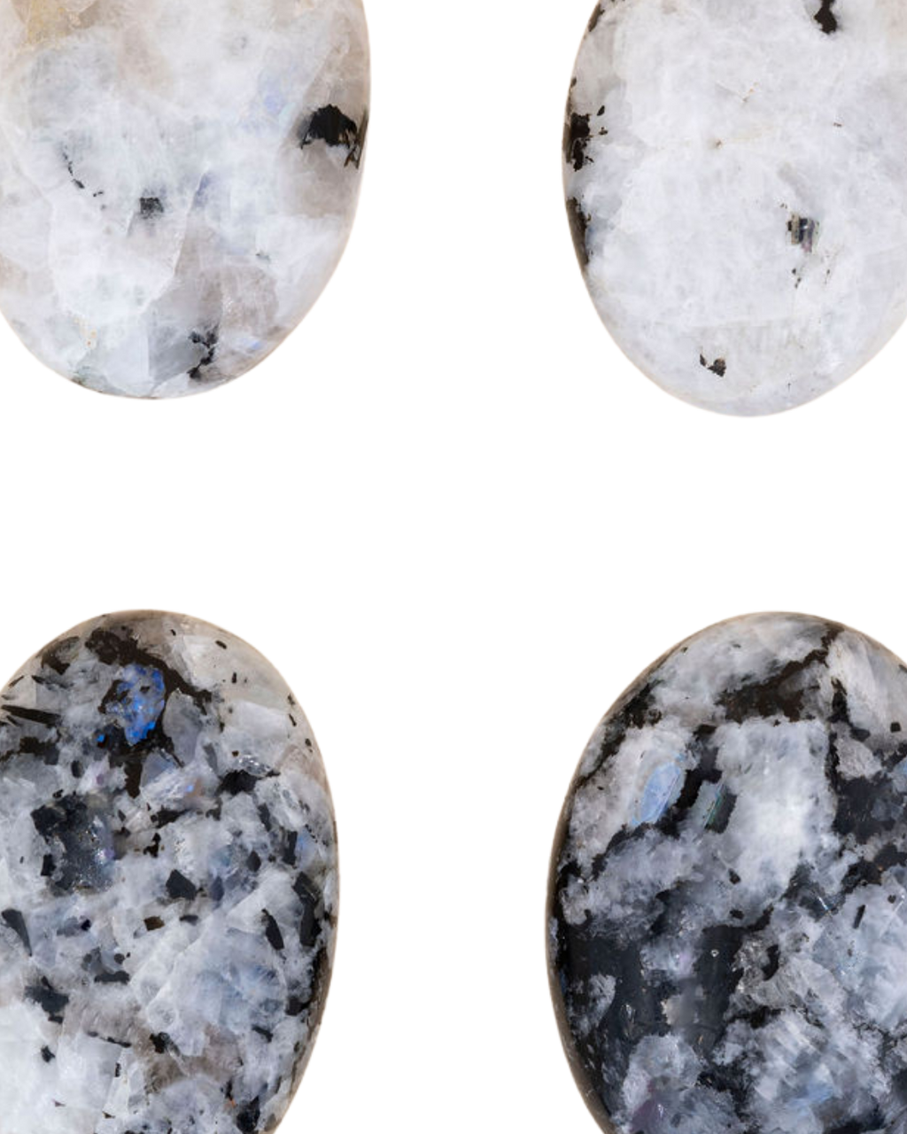Labradorites_blanche
