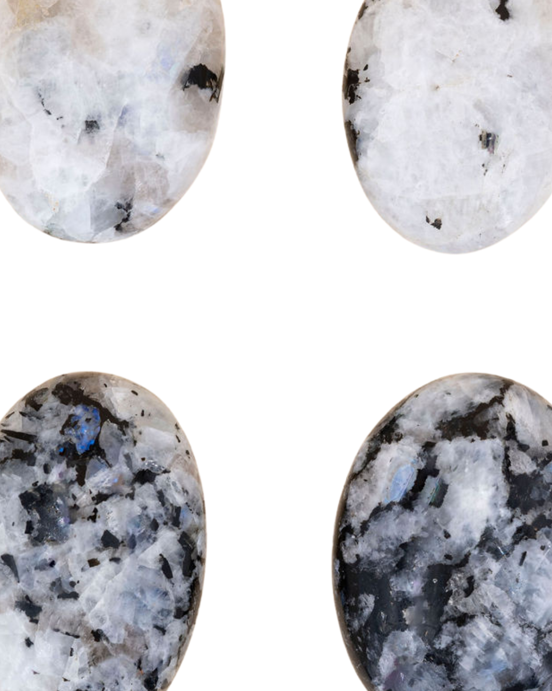 Labradorites_blanche
