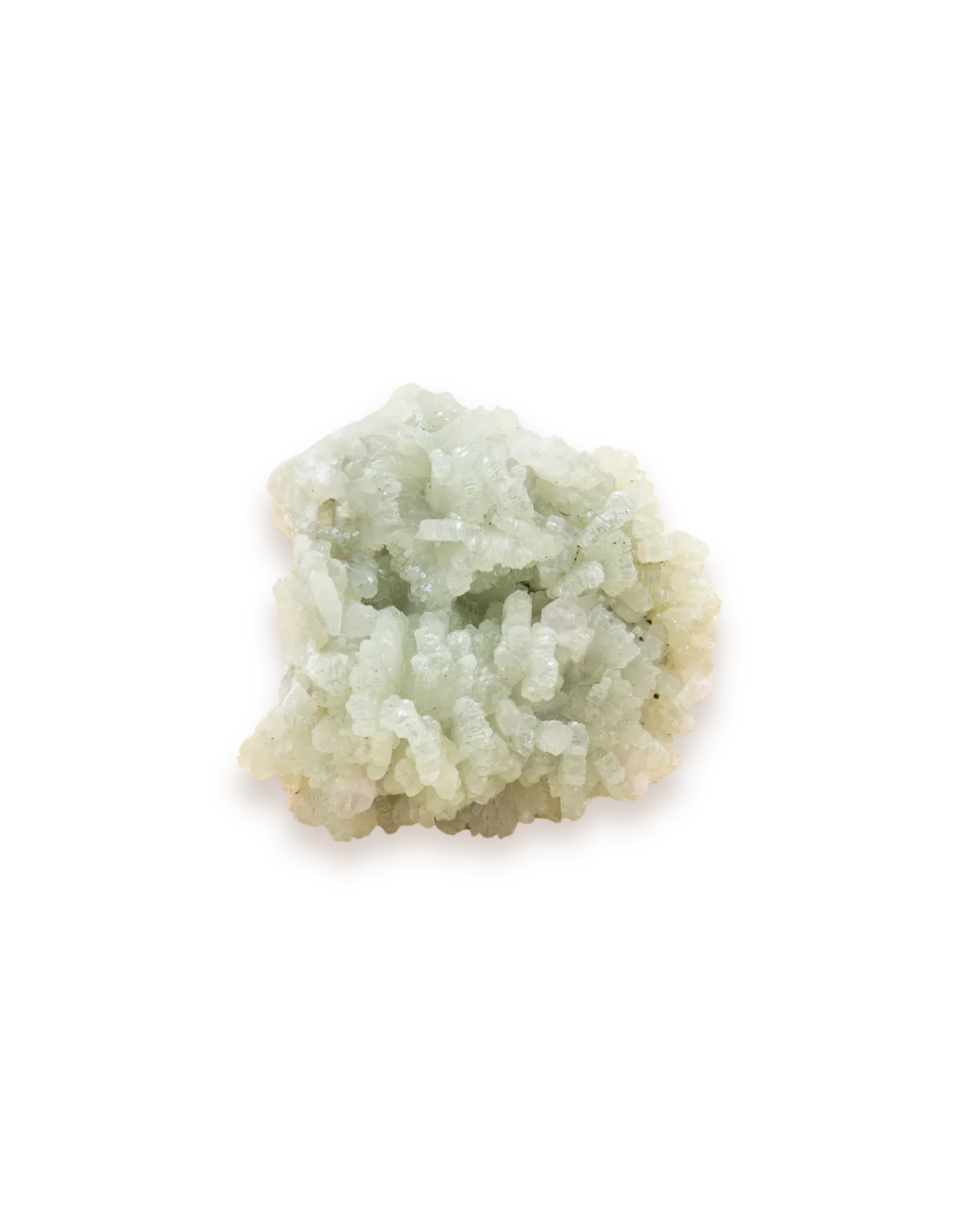 Phrenite solo