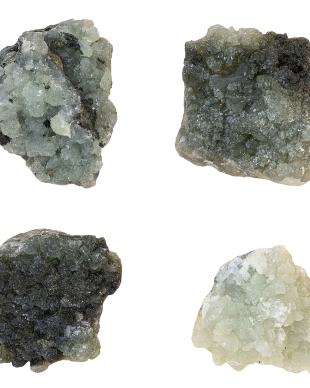 Prehnites