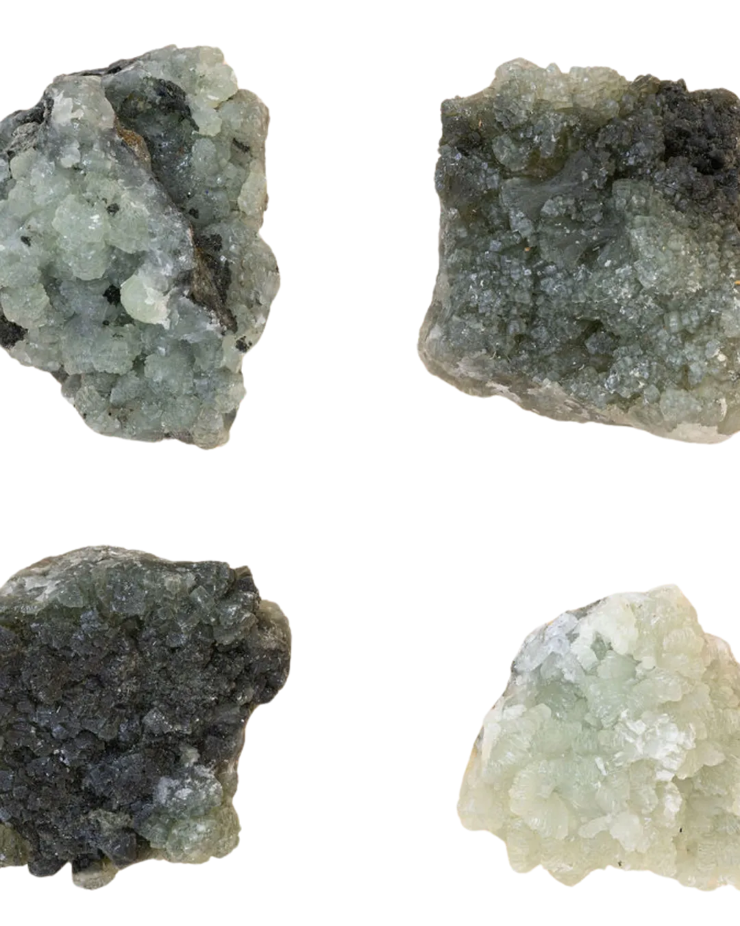 Prehnites