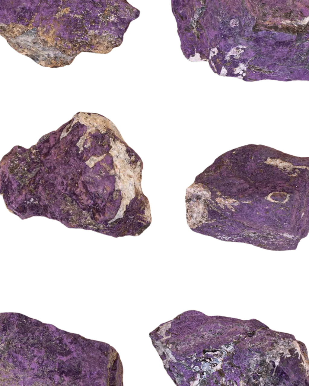 Purpurites