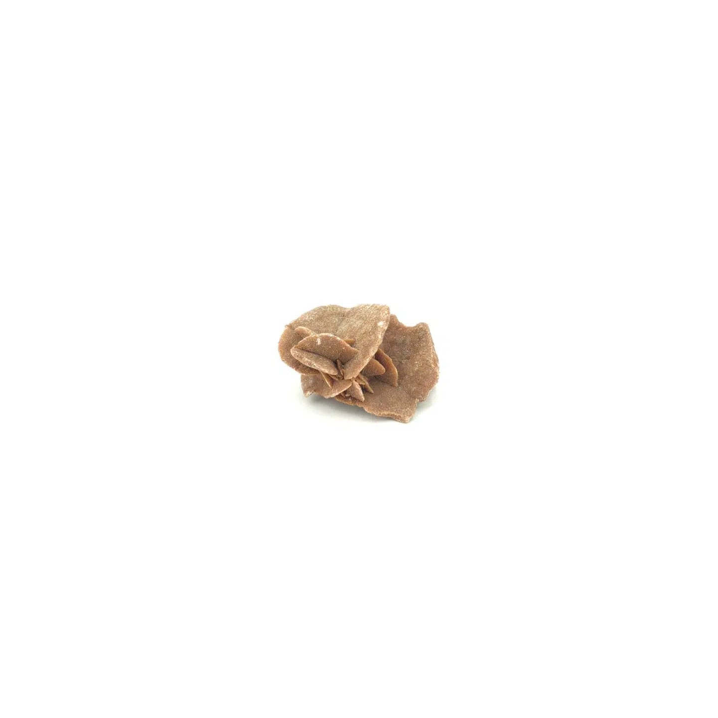 Rose des sables 126g