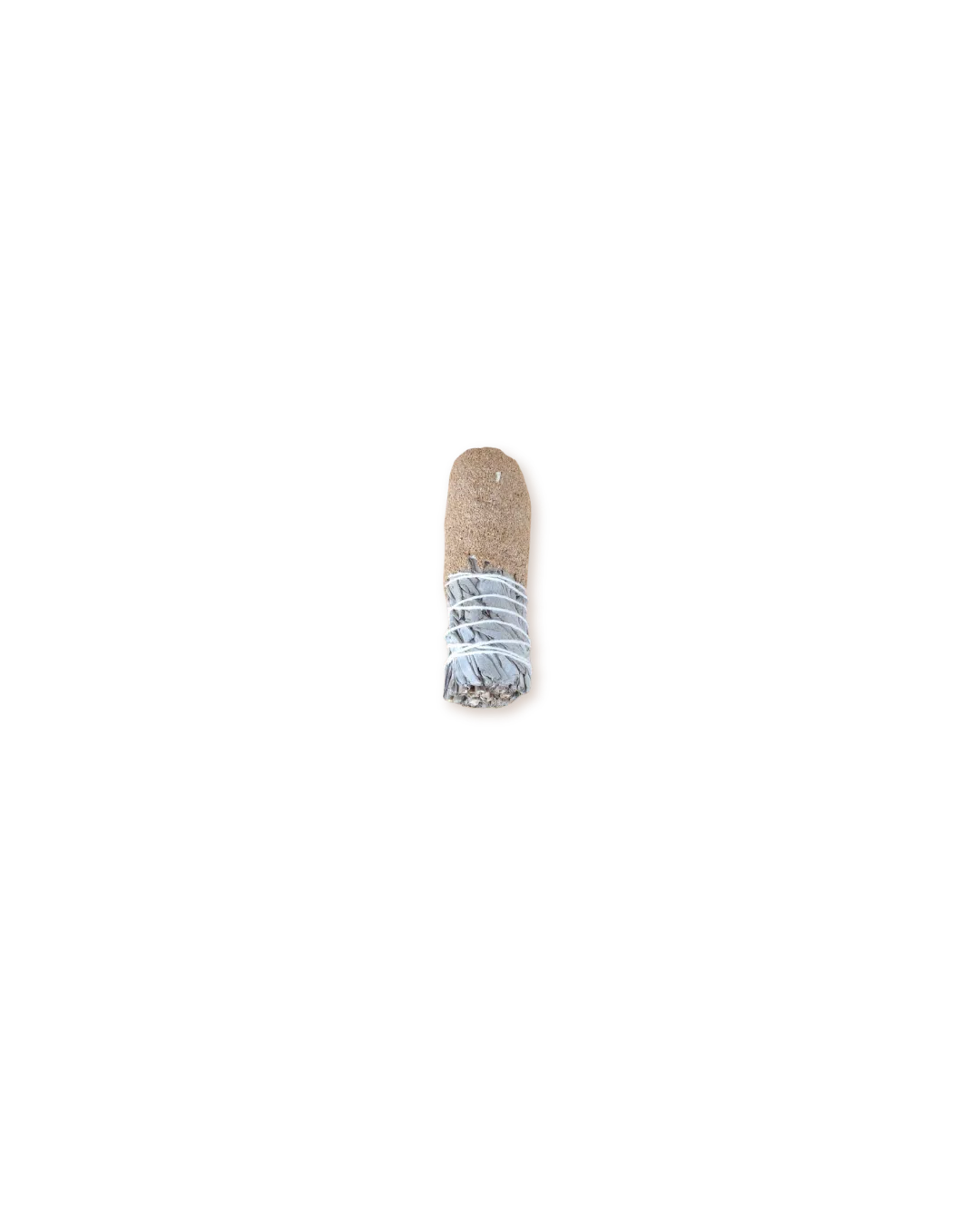 Saugepalosanto-2