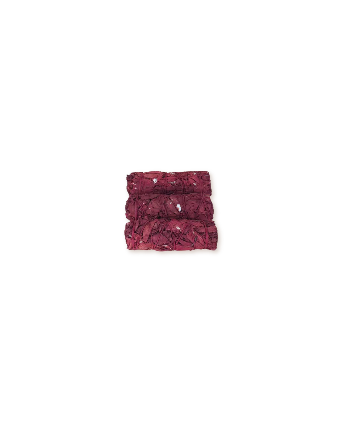Saugesangdedragon-1