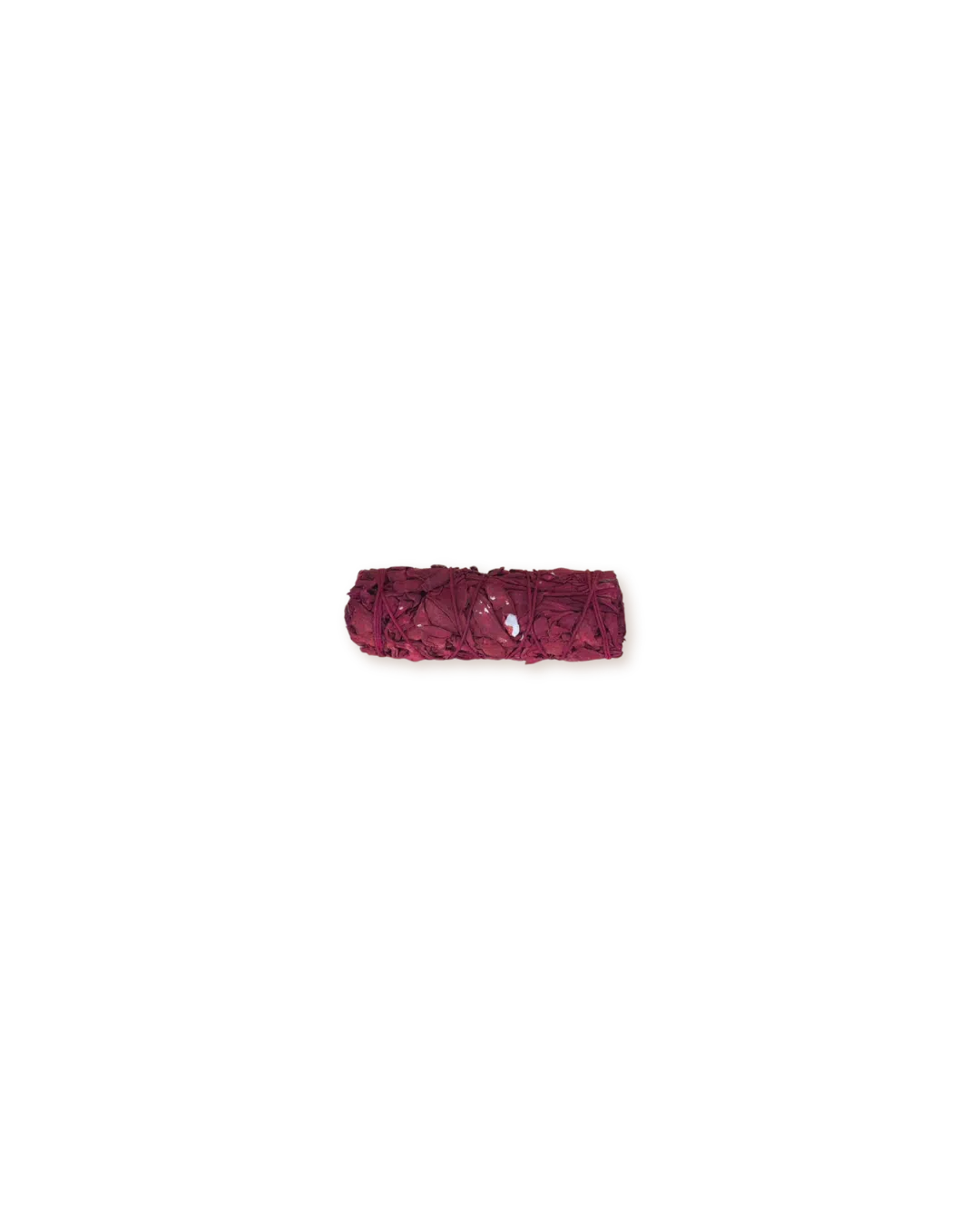 Saugesangdedragon-3