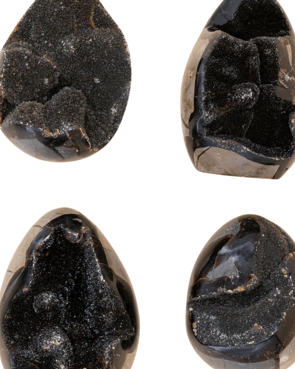 Septarias sauvages
