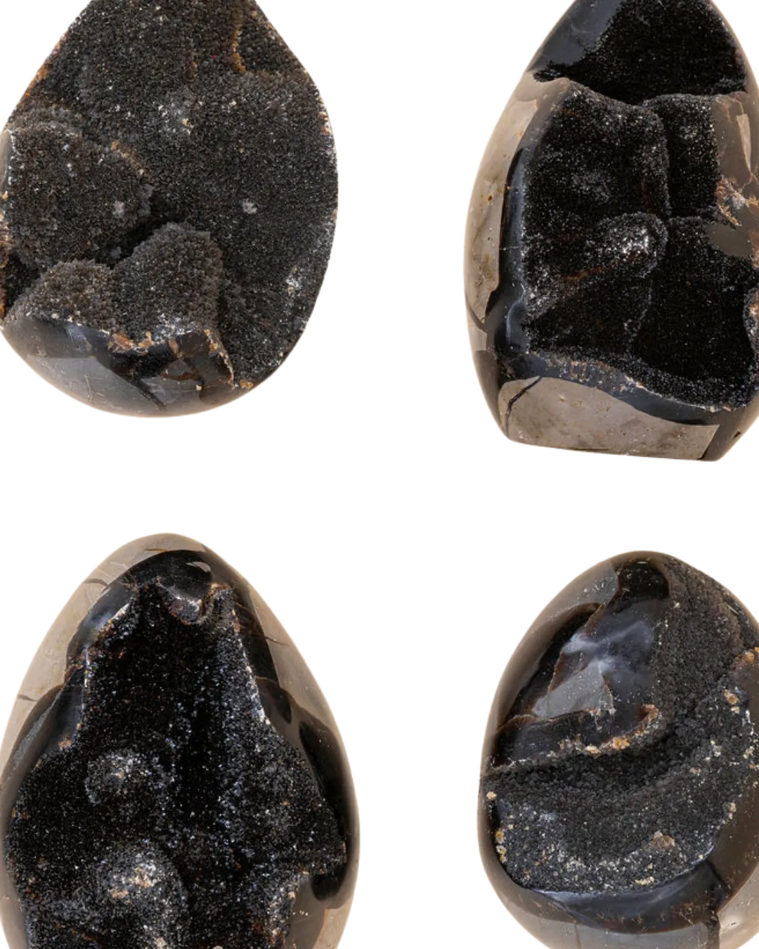 Septarias sauvages