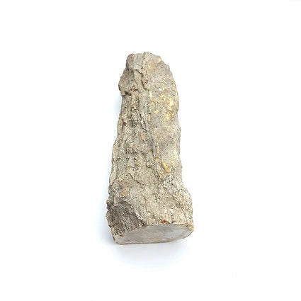 Bois fossilisé - Big Mamma