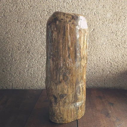 Bois fossilisé - Big Mamma
