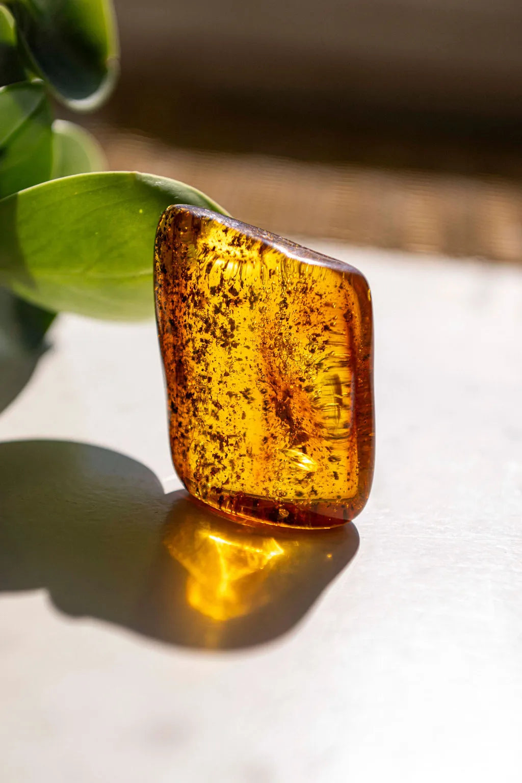 Ambre_image
