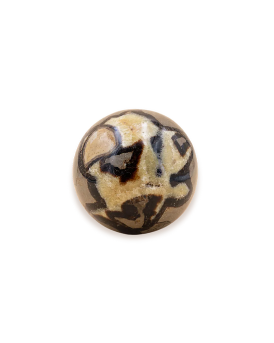 Septaria