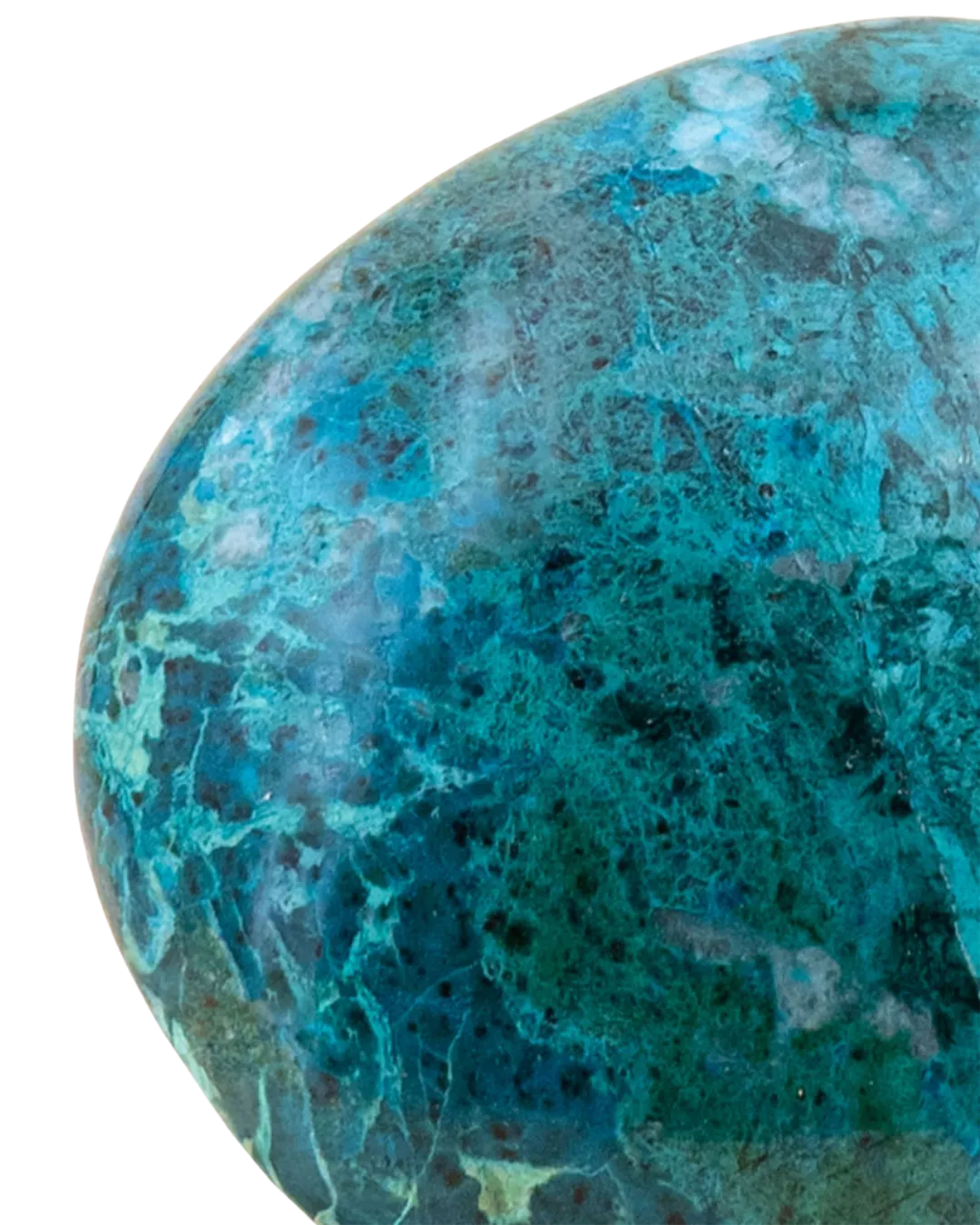 Chrysocolle_close-up