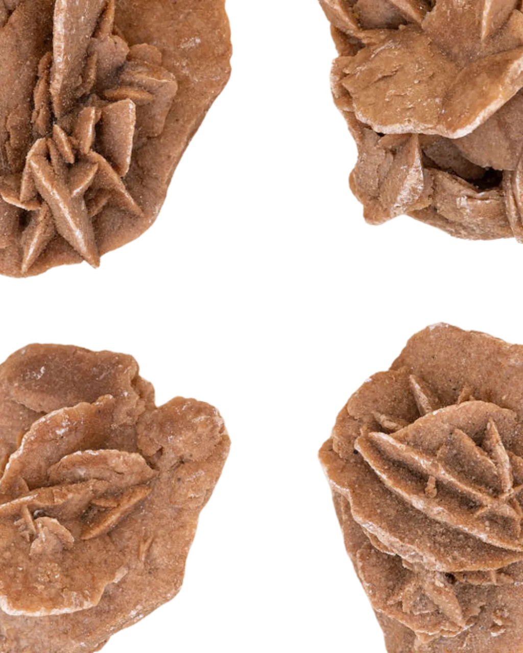 Rose des sables_image