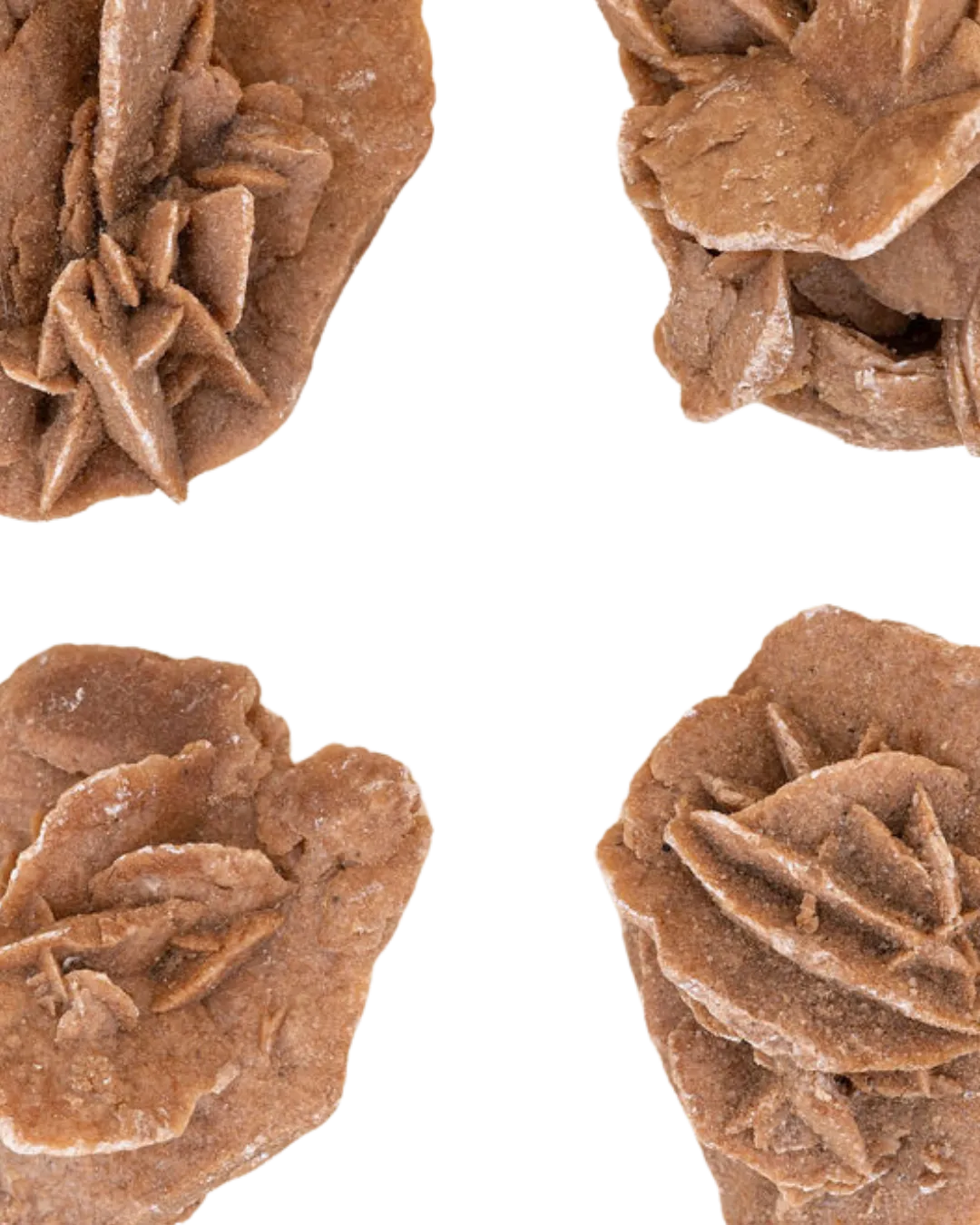 Rose des sables_image
