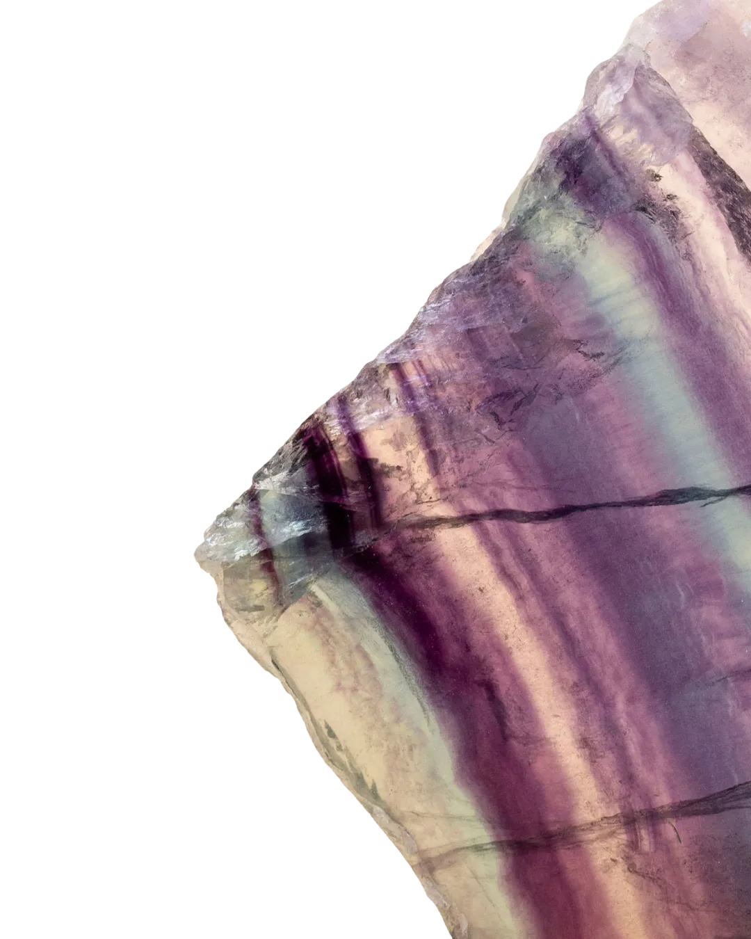 Fluorine bicolore_close-up