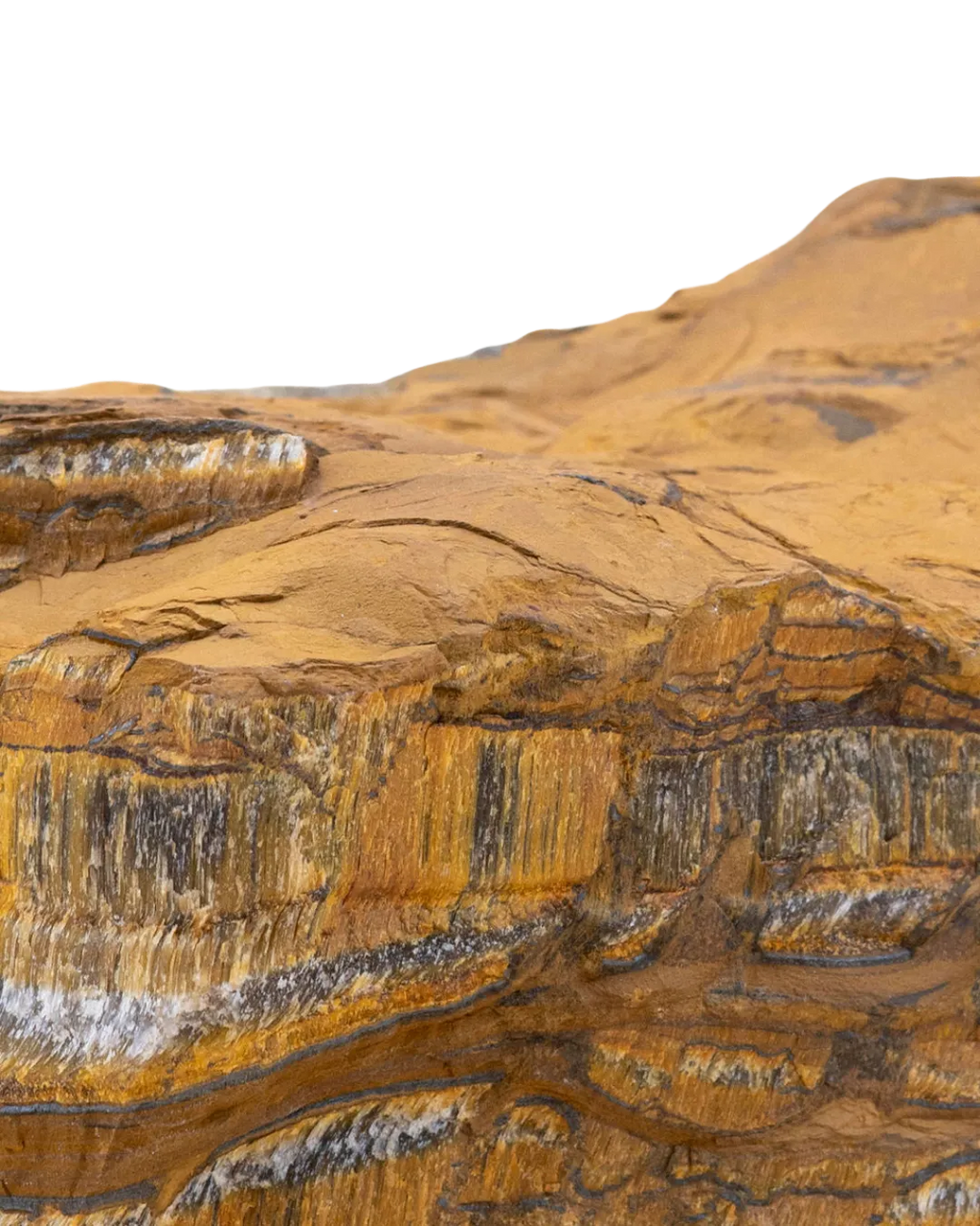 Oeil de tigre_close-up