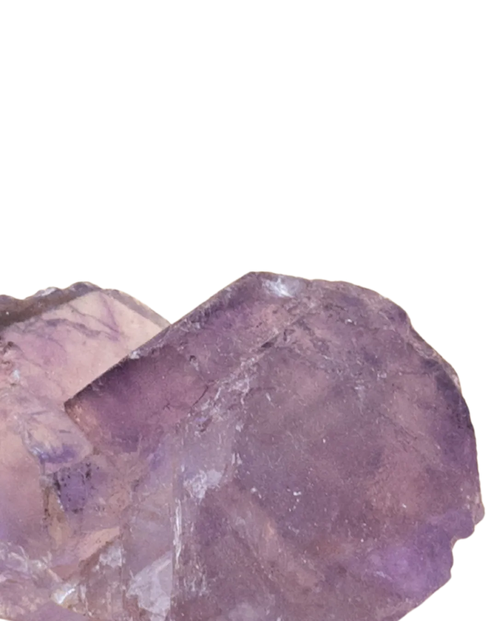 Fluorine violette_close-up