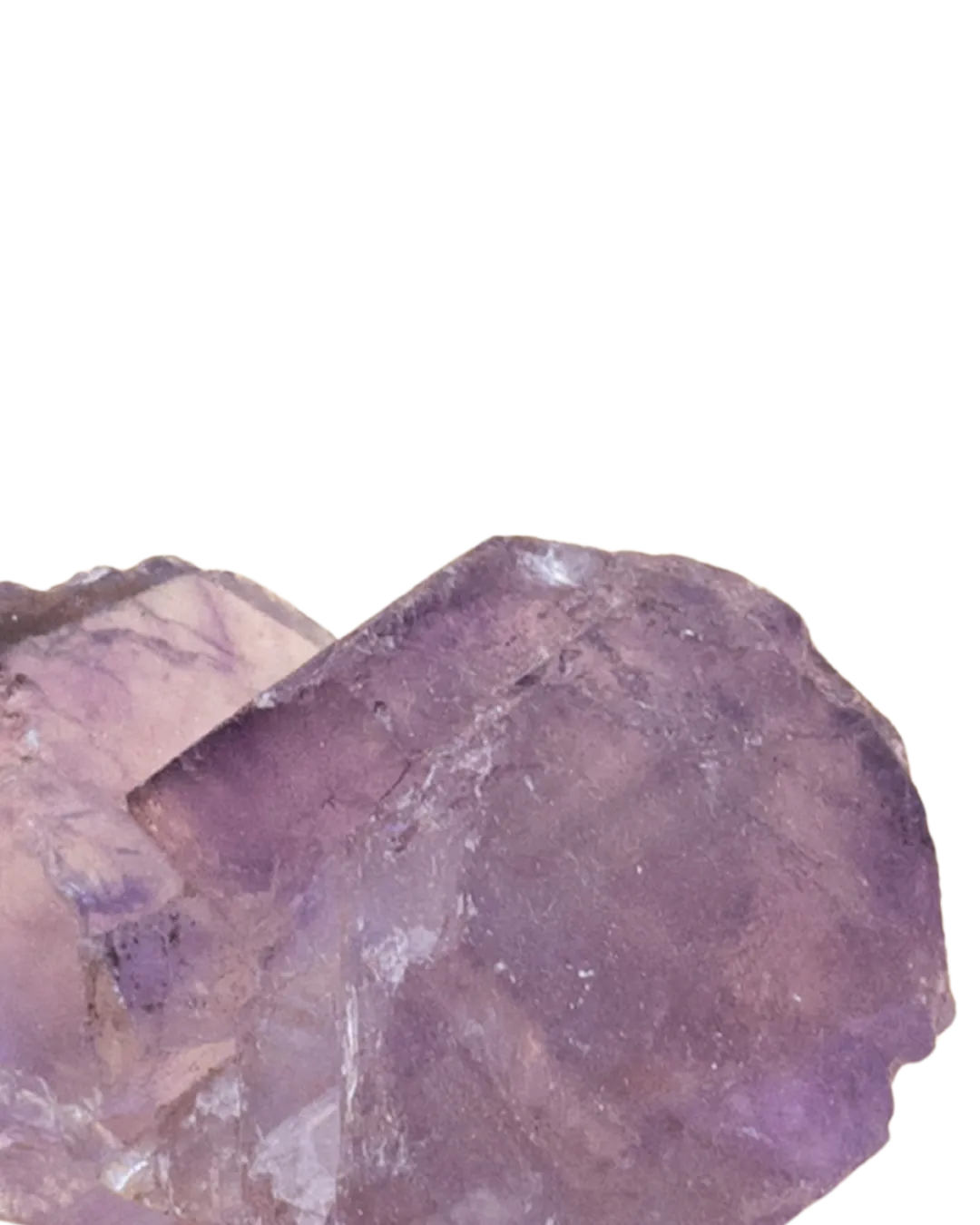 Fluorine violette_close-up