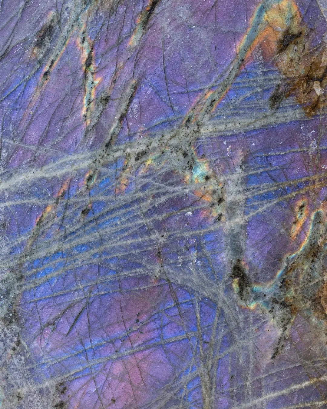 Labradorite violette_close-up