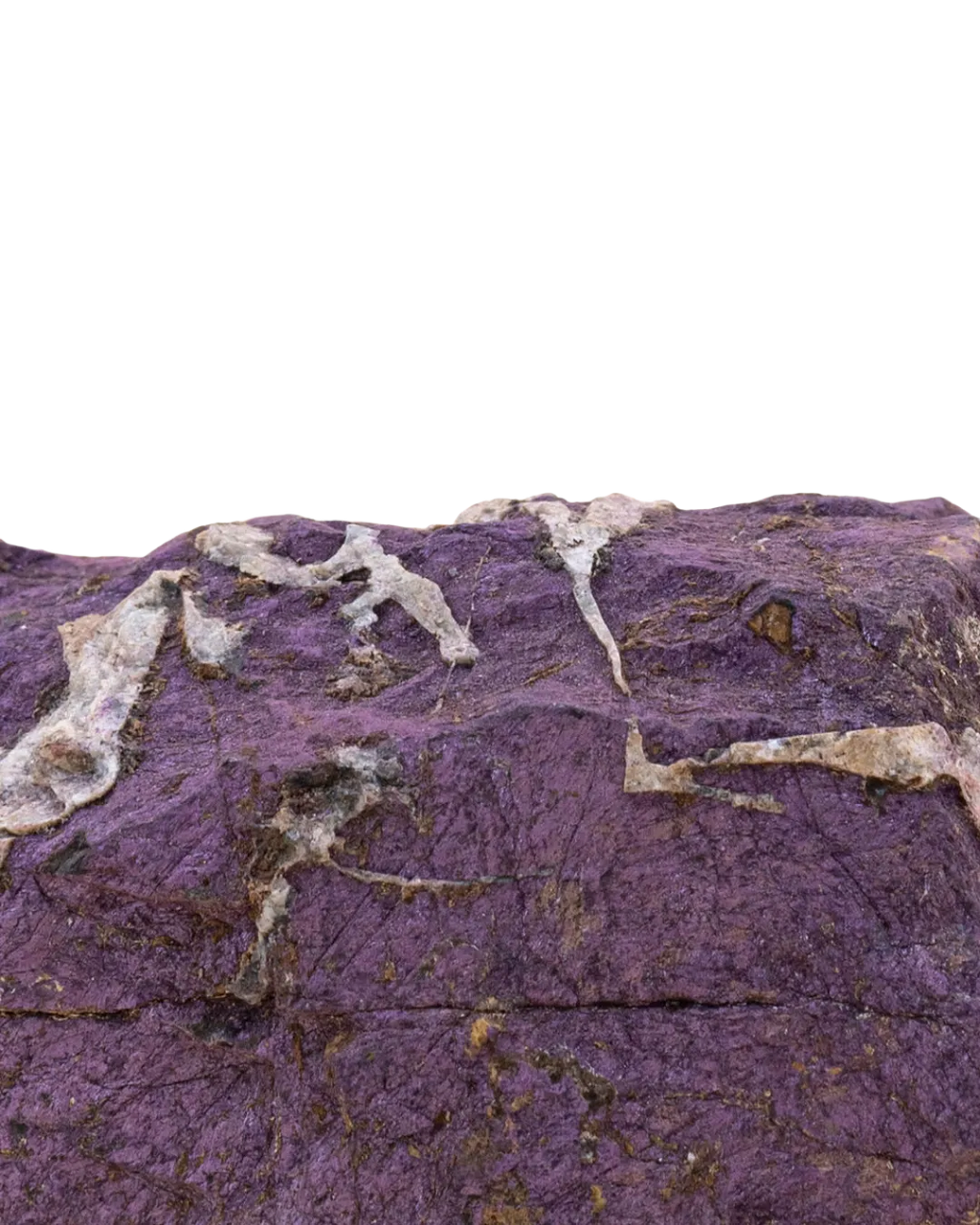 Purpurite_close-up
