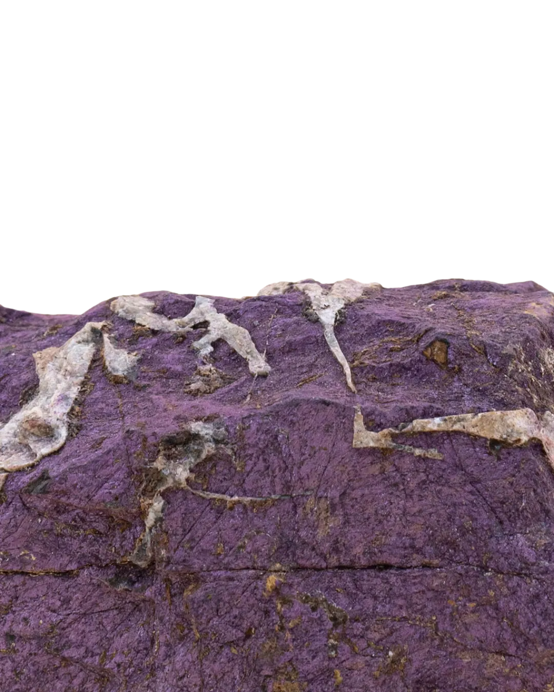 Purpurite_close-up