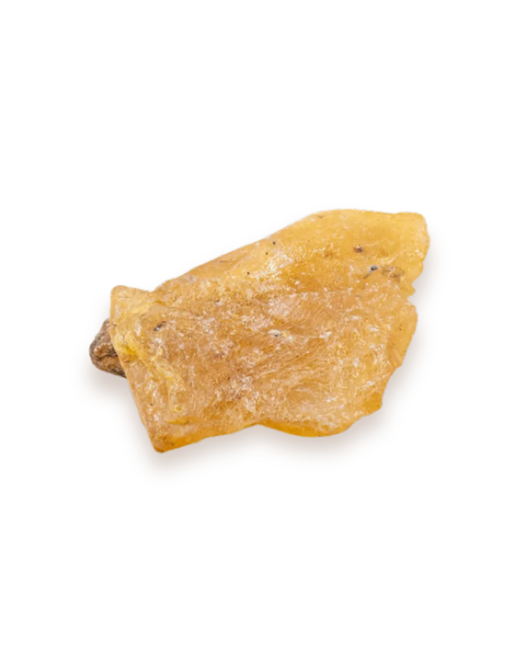 Copal_solo