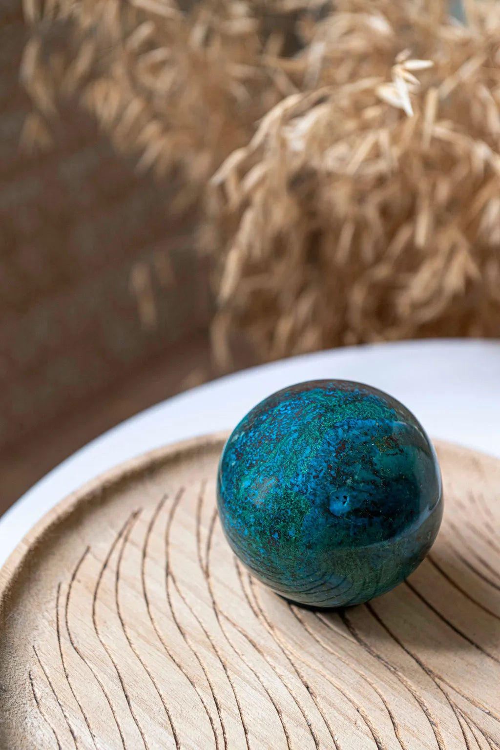Chrysocolle_image