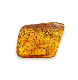 Ambre