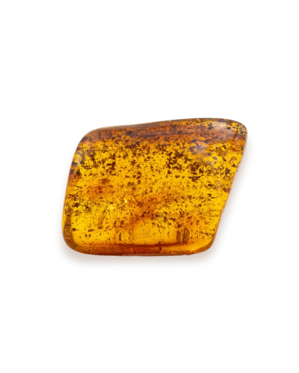 Ambre_solo_2