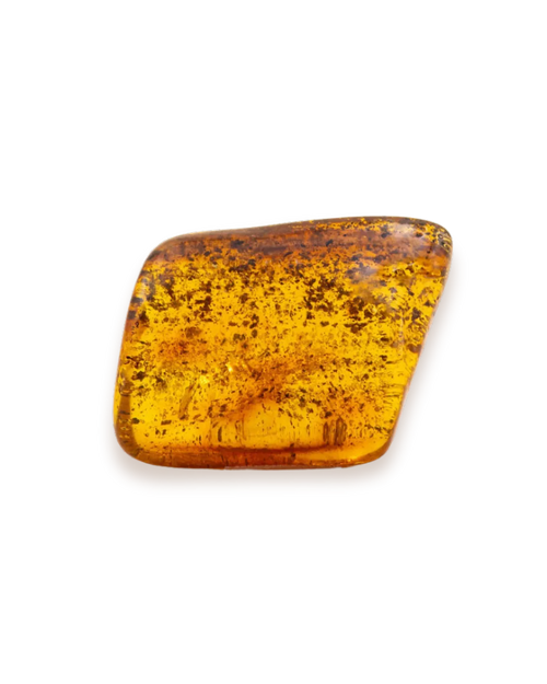 Ambre_solo_2