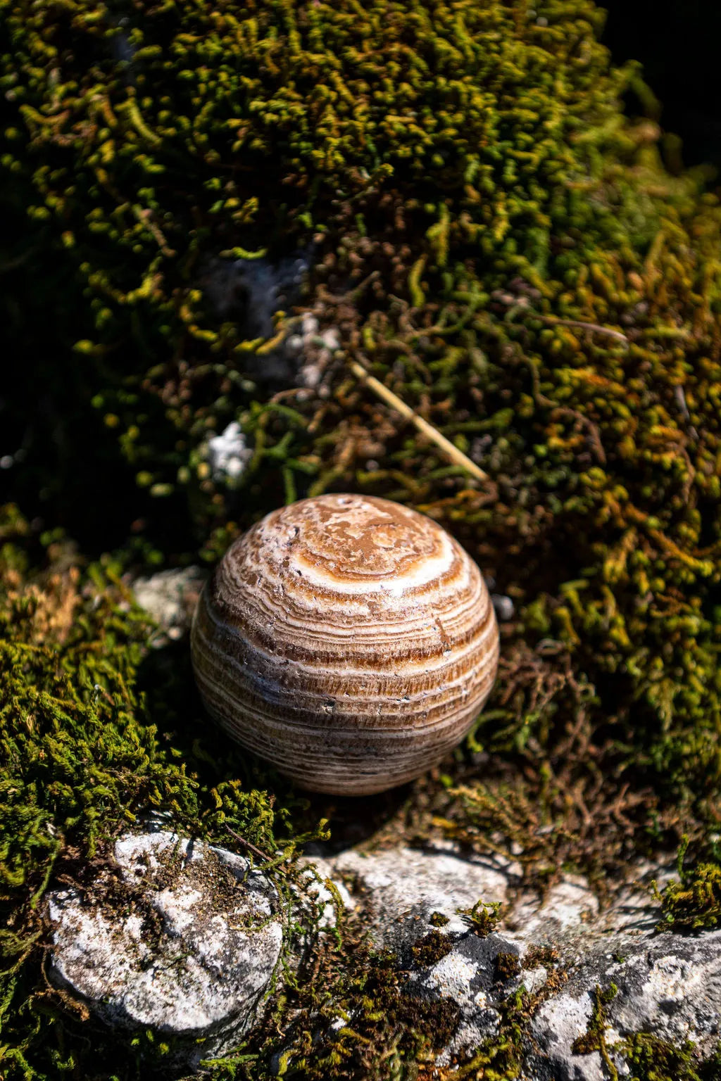 Aragonite rubanée