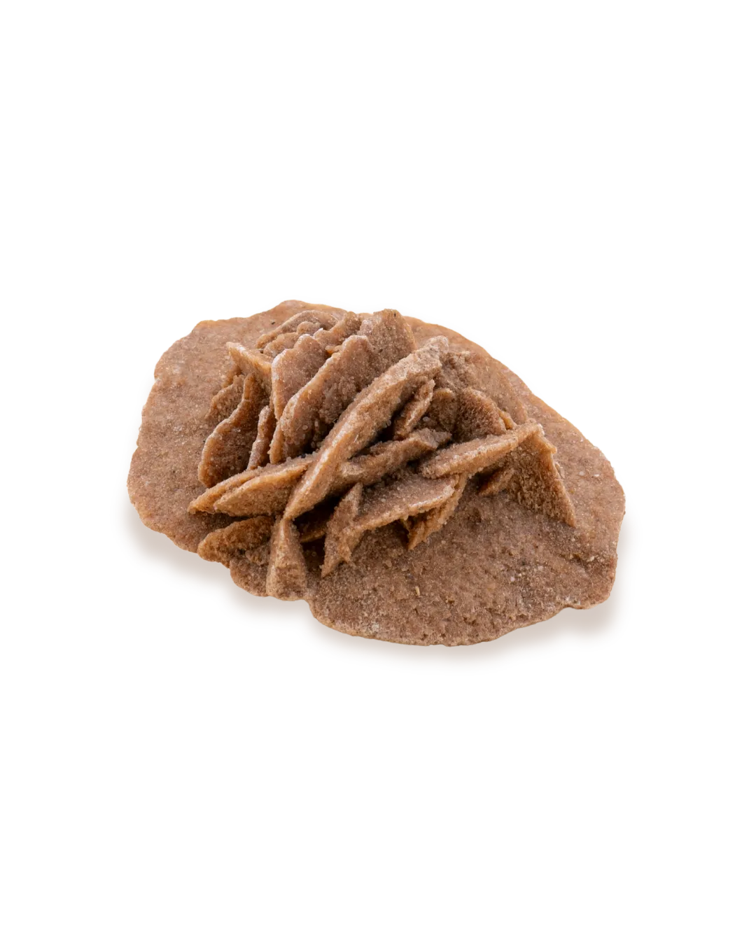 Rose des sables_solo