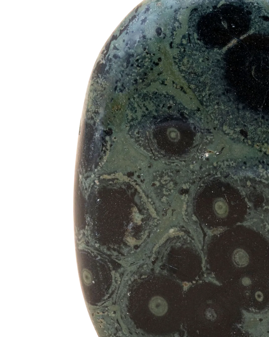 Jaspe kambaba_close-up