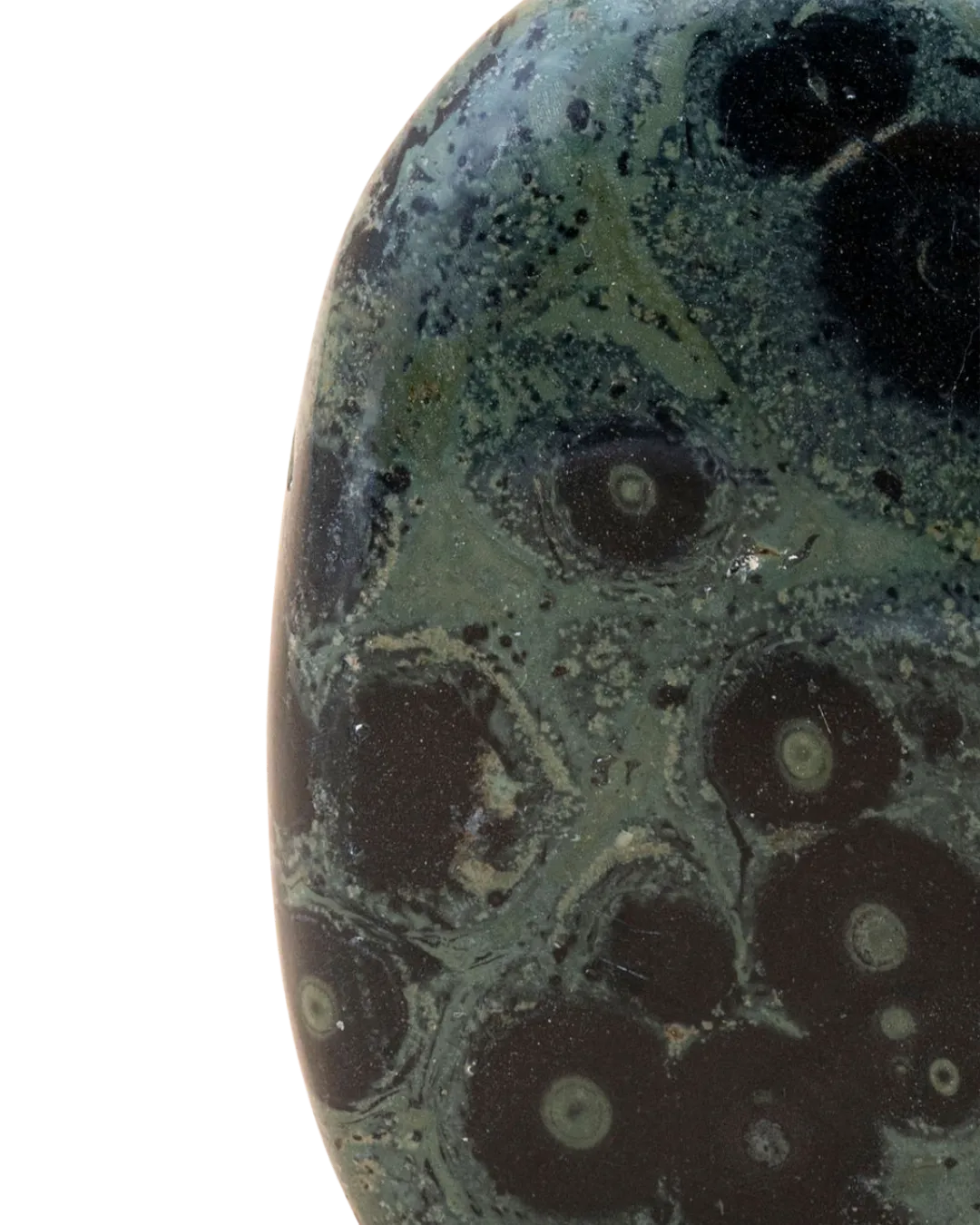 Jaspe kambaba_close-up