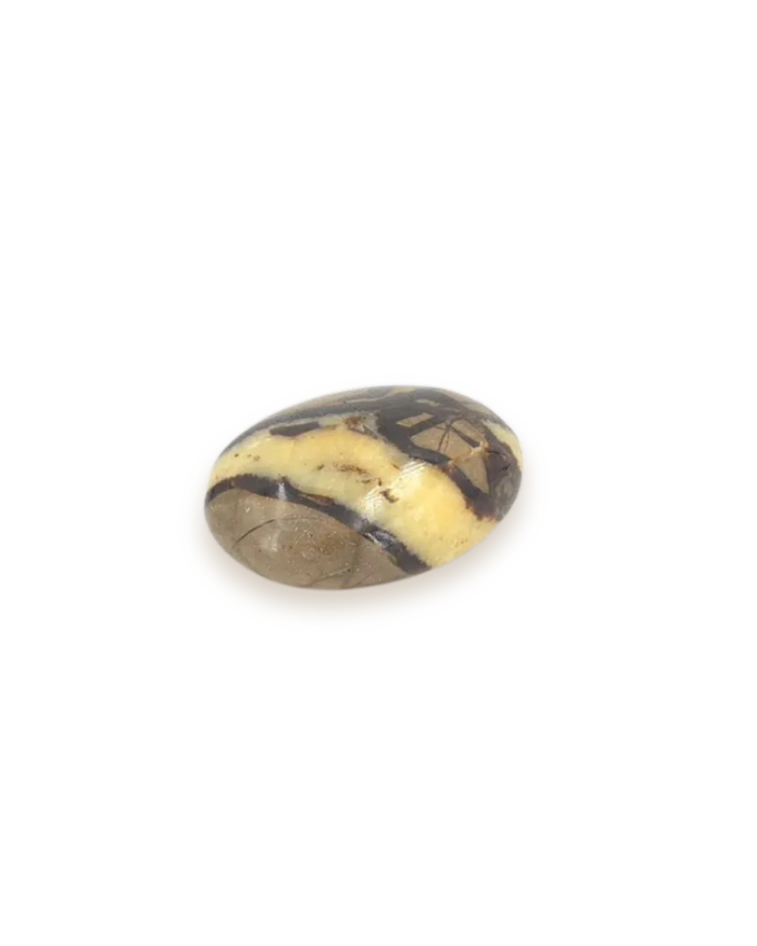 Septaria